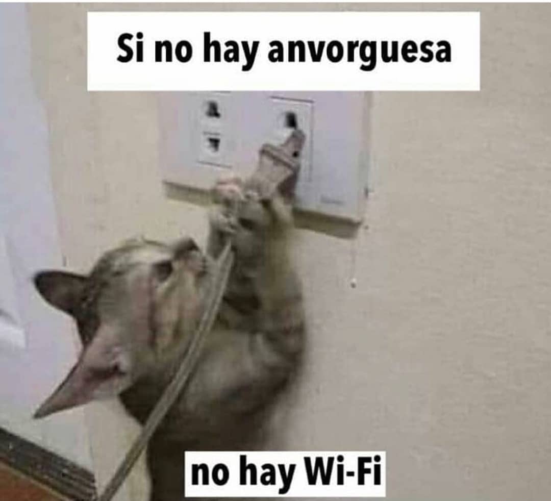 Si no hay anvorguesa no hay Wi-Fi.