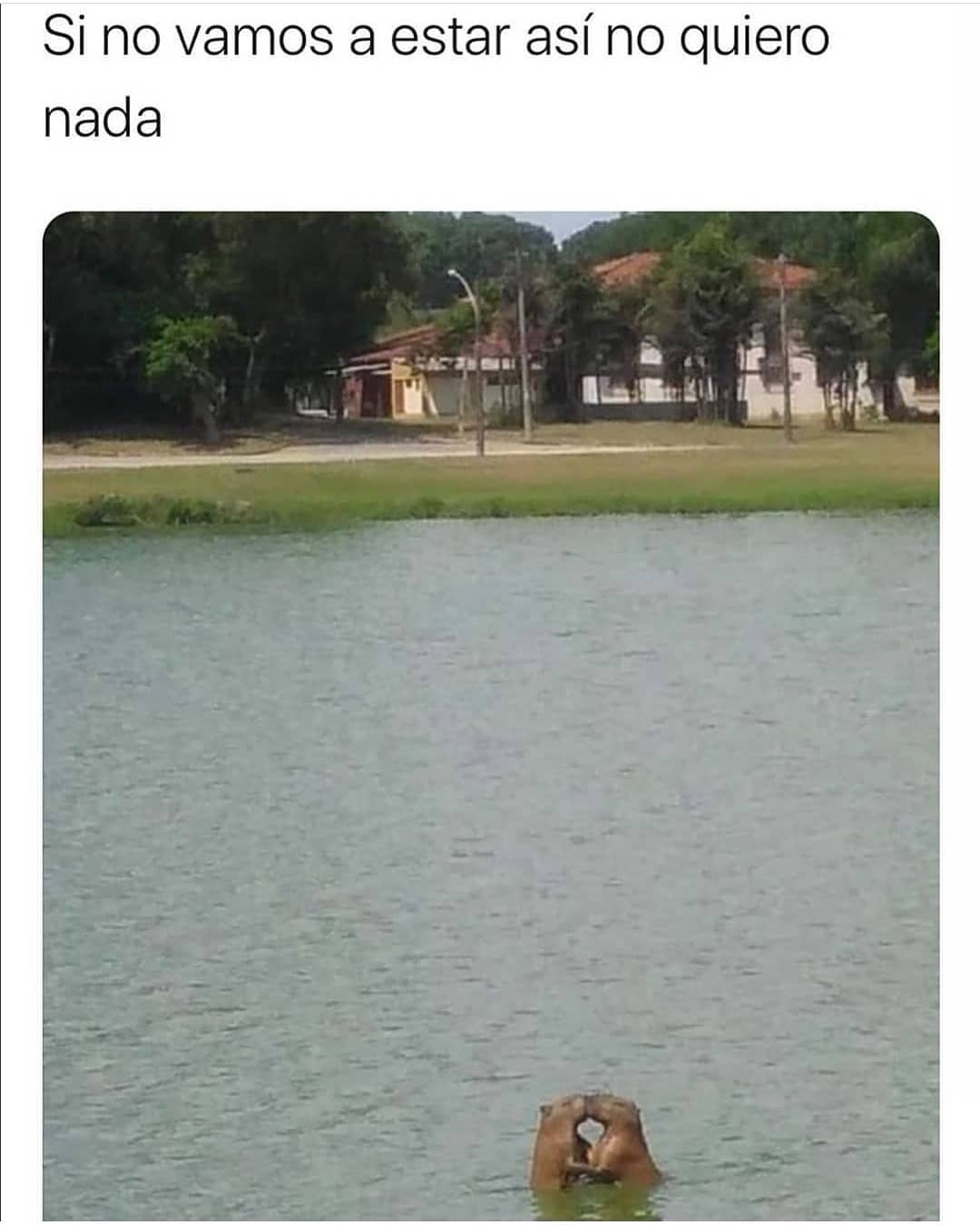 Odio Que Los Profesores Digan Por Qué No Fuiste Al Baño Antes De Que Mi Clase Comenzara Como