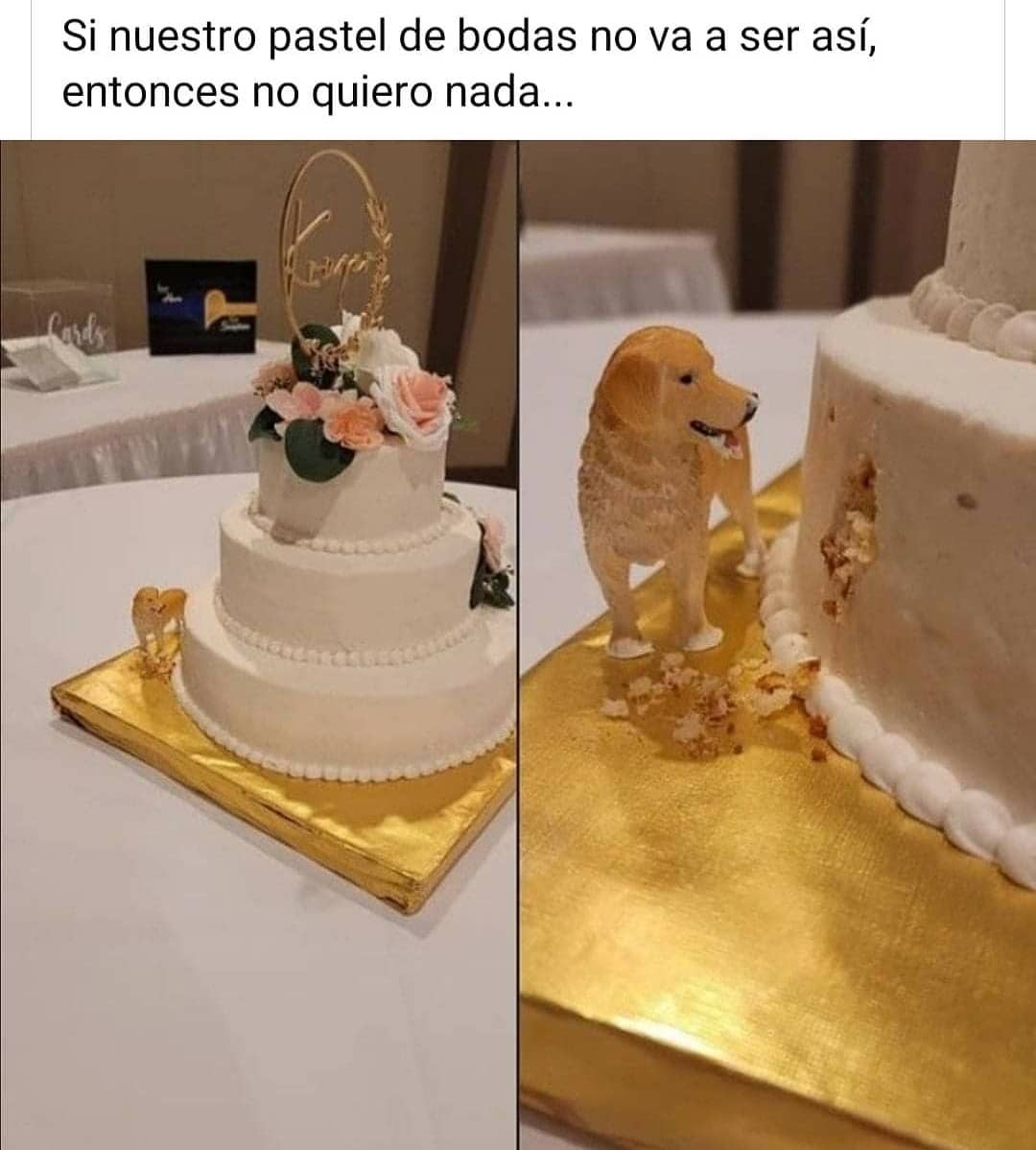 Si nuestro pastel de bodas no va a ser así, entonces no quiero nada...
