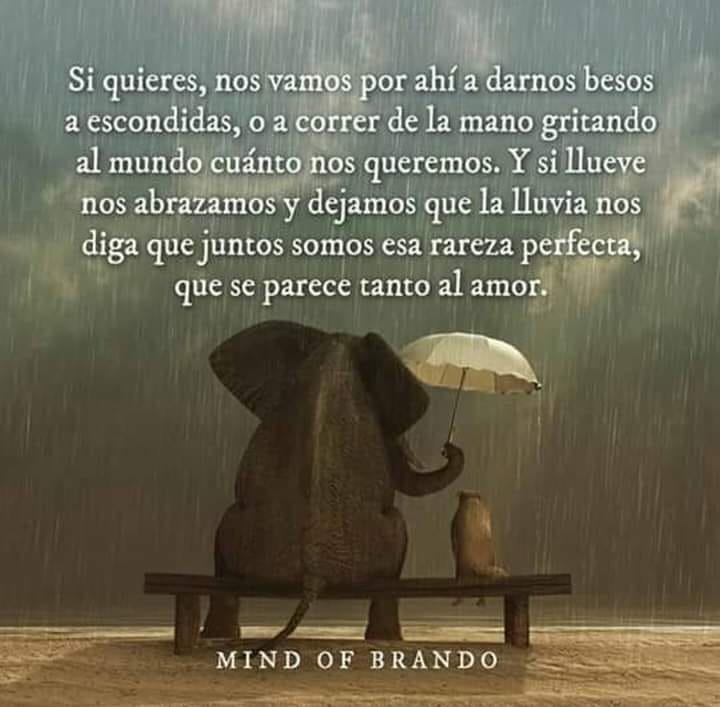 Si quieres, nos vamos por ahí a darnos besos a escondidas, o a correr de la mano gritando al mundo cuánto nos queremos. Y si llueve nos dejamos que la lluvia nos diga que juntos somos esa rareza perfecta, que se parece tanto al amor.