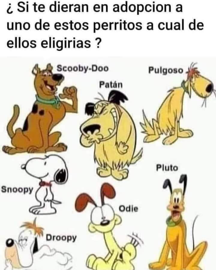 ¿Si te dieran en adopción a uno de estos perritos a cual de ellos eligirías ?  Scooby-Doo  Patán  Pulgoso  Pluto  Snoopy  Droopy  Odie