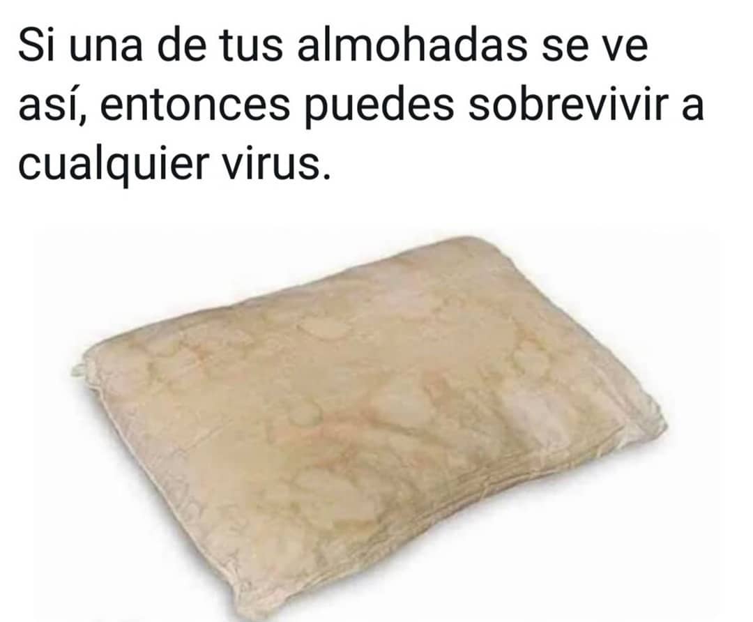 Si una de tus almohadas se ve así, entonces puedes sobrevivir a cualquier virus.