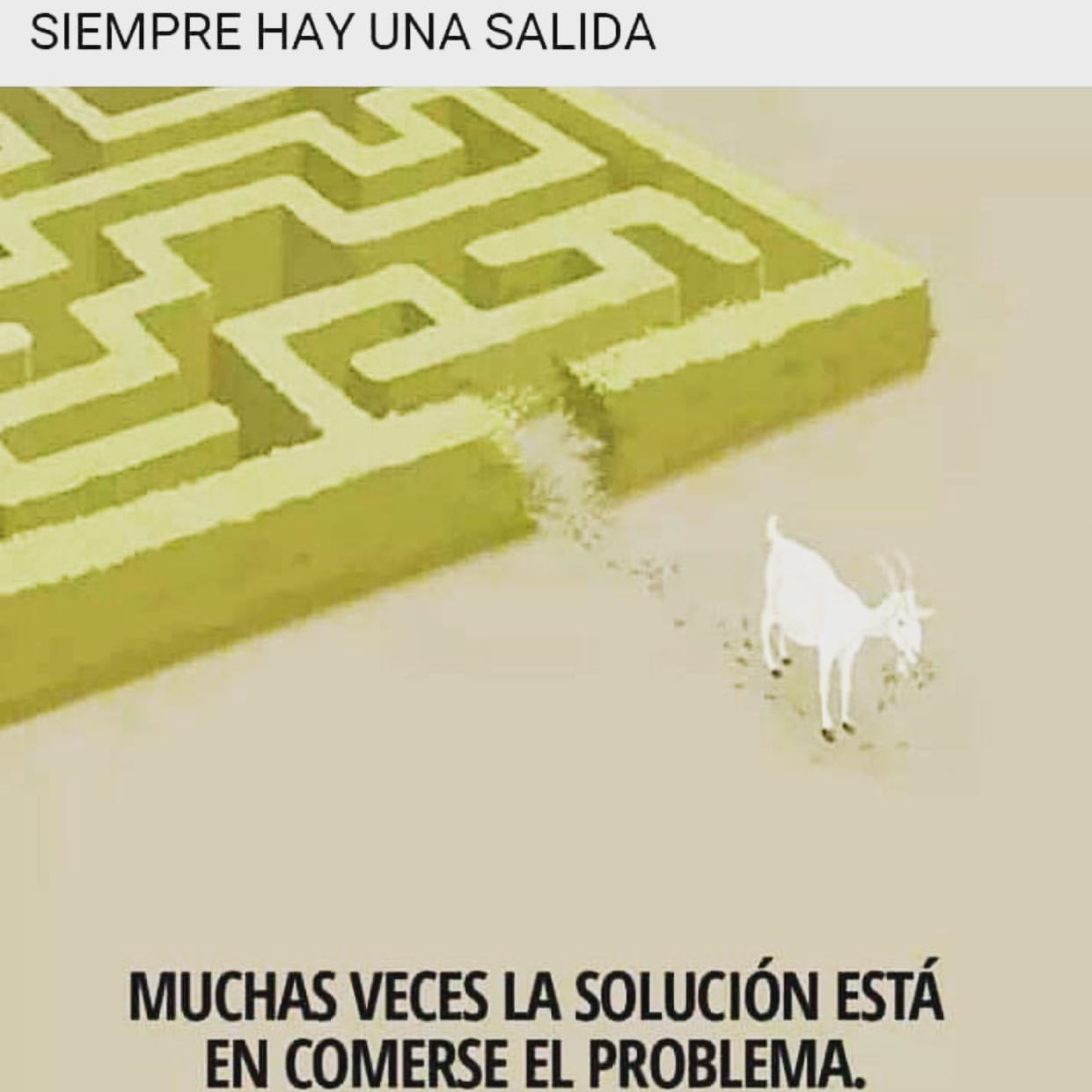 Siempre Hay Una Salida Muchas Veces La Solución Está En Comerse El Problema Frases 5129