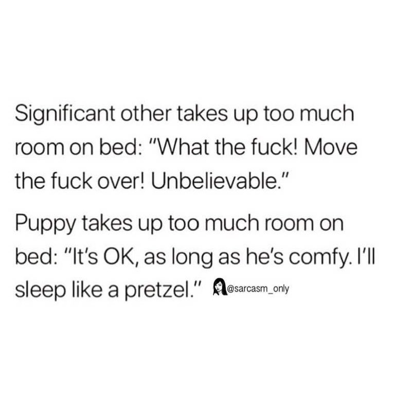 Significant other takes up too much room on bed: "What the fuck! Move the fuck over! Unbelievable." Puppy takes up too much room on bed: "It's 0K, as long as he's comfy. I'll sleep like a pretzel."