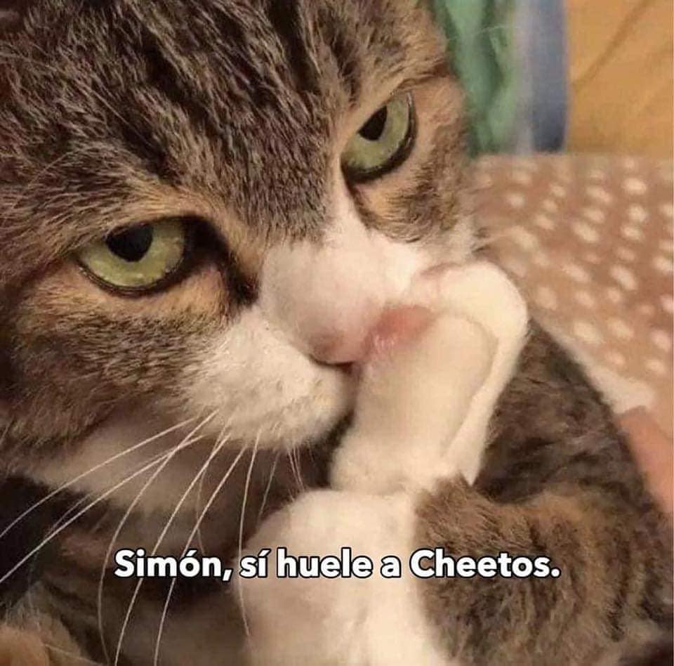 Simón, sí huele a Cheetos.