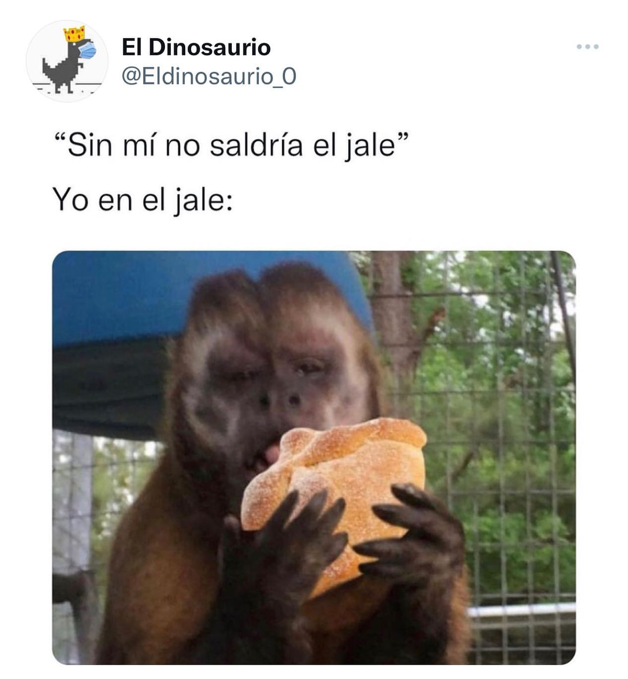 "Sin mí no saldría el jale". Yo en el jale: