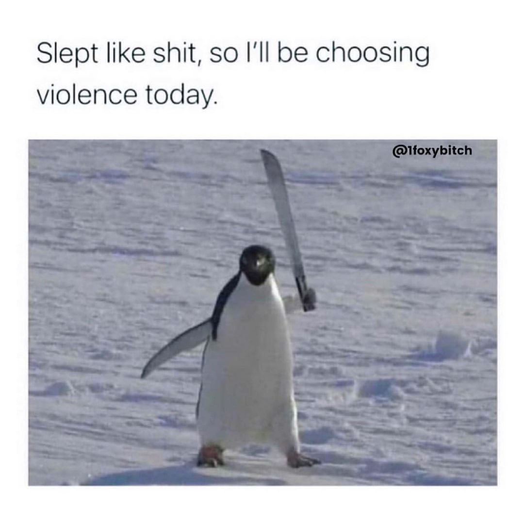 Slept like shit, so I'll be choosing violence today.