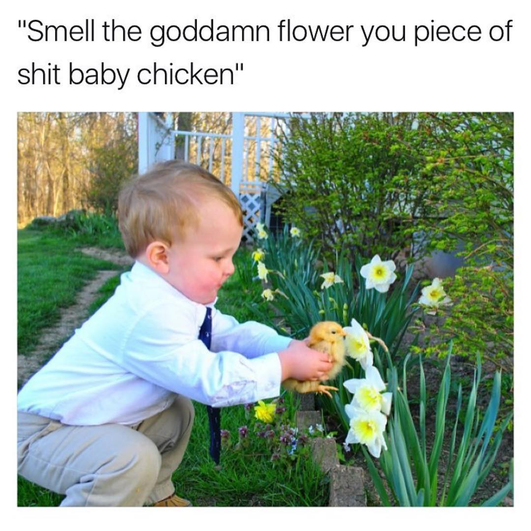 "Smell the goddamn flower you piece of shit baby chicken".