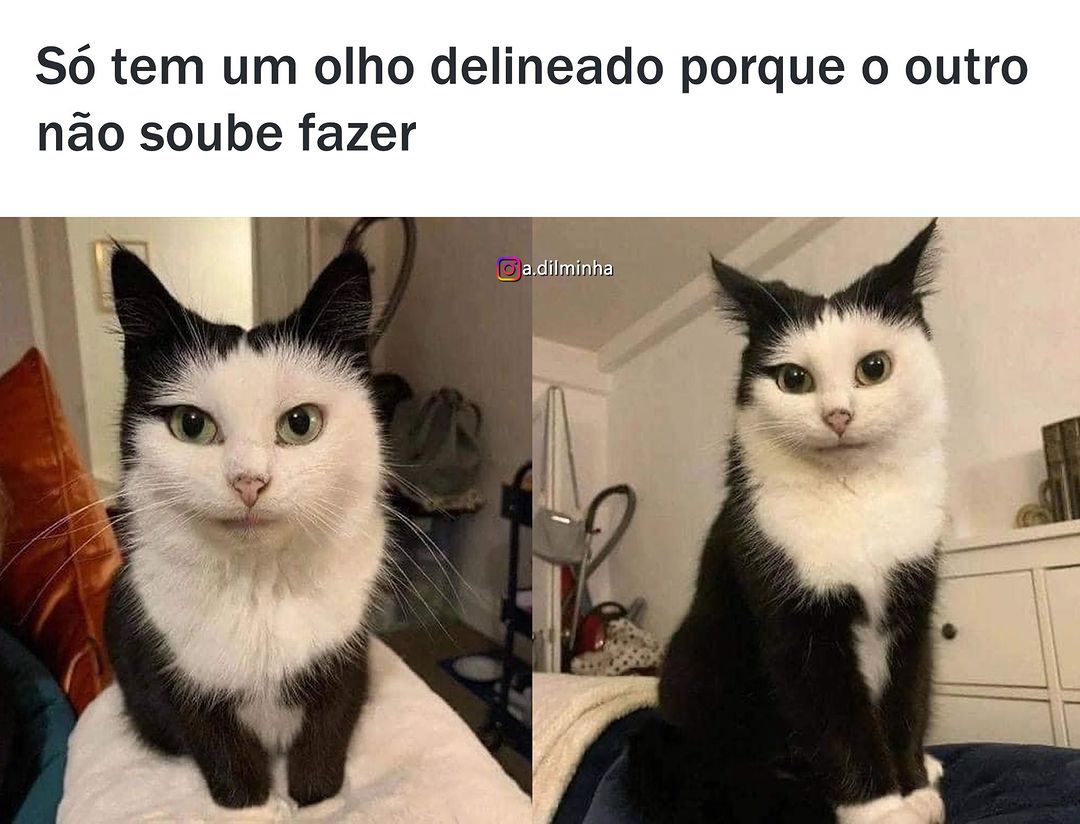 Só tem um olho delineado porque o outro não soube fazer.