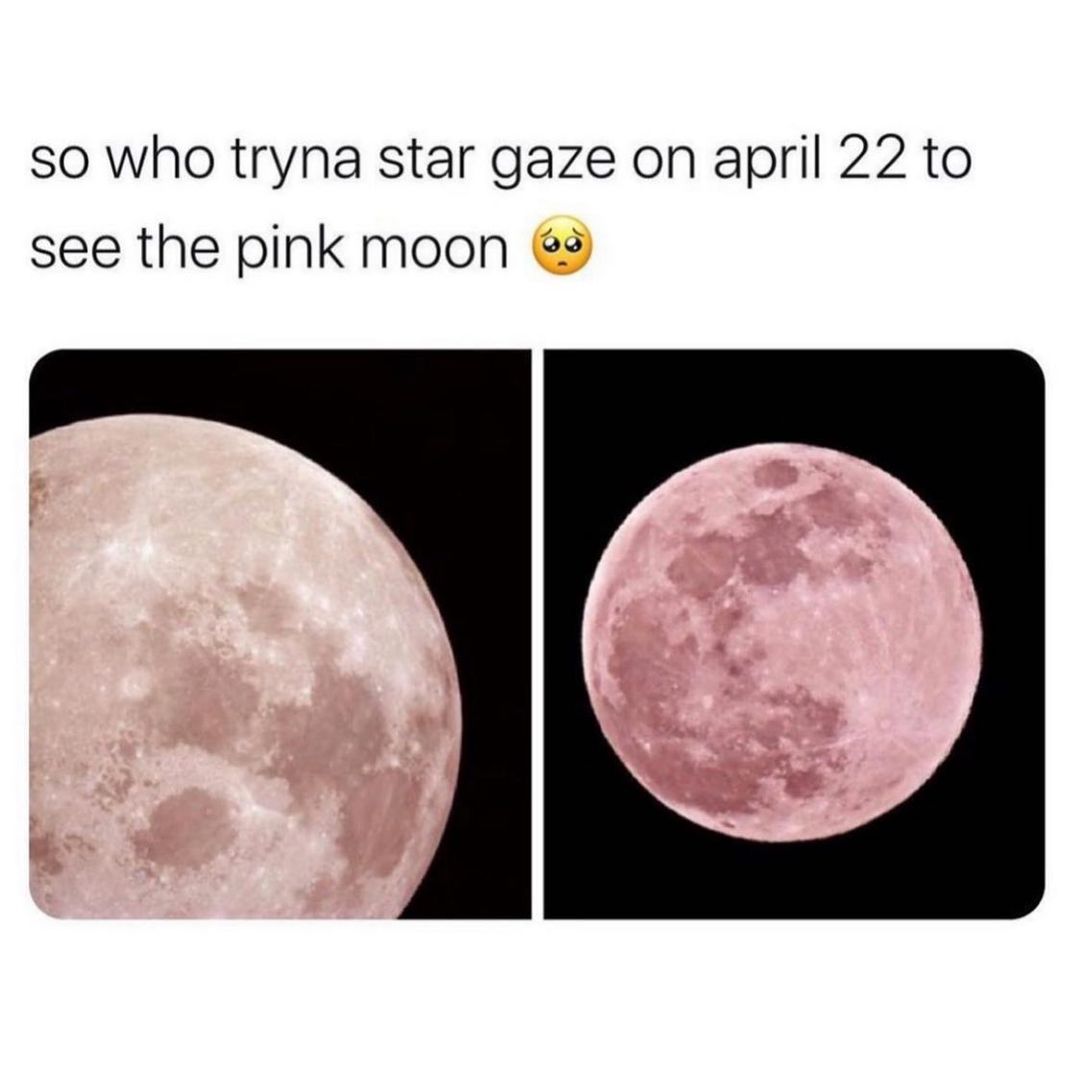So who tryna star gaze on april 22 to see the pink moon.