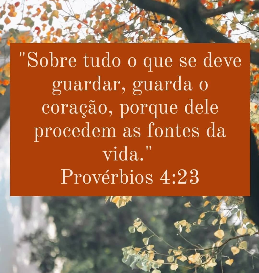 Sobre tudo o que se deve guardar, guarda o coração, porque dele procedem as fontes da vida. Provérbios 4:23.