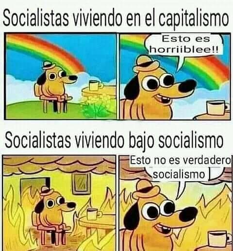 Socialistas viviendo en el capitalismo. Esto es horriiblee!! Socialistas viviendo bajo socialismo. Esto no es verdadero socialismo.