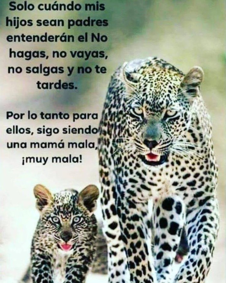 Solo cuándo mis hijos sean padres entenderán el no hagas, no vayas, no salgas y no te tardes. Por lo tanto para ellos, sigo siendo una mamá mala, ¡muy mala!