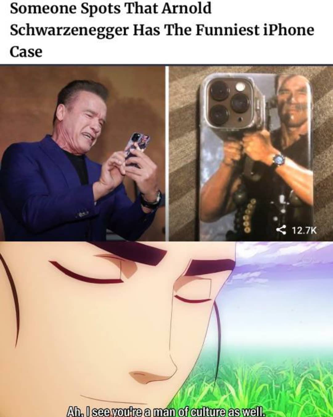 Someone spots that Arnold Schwarzenegger has the funniest Iphone Case.  Ah, I see you're a man of culture as well.