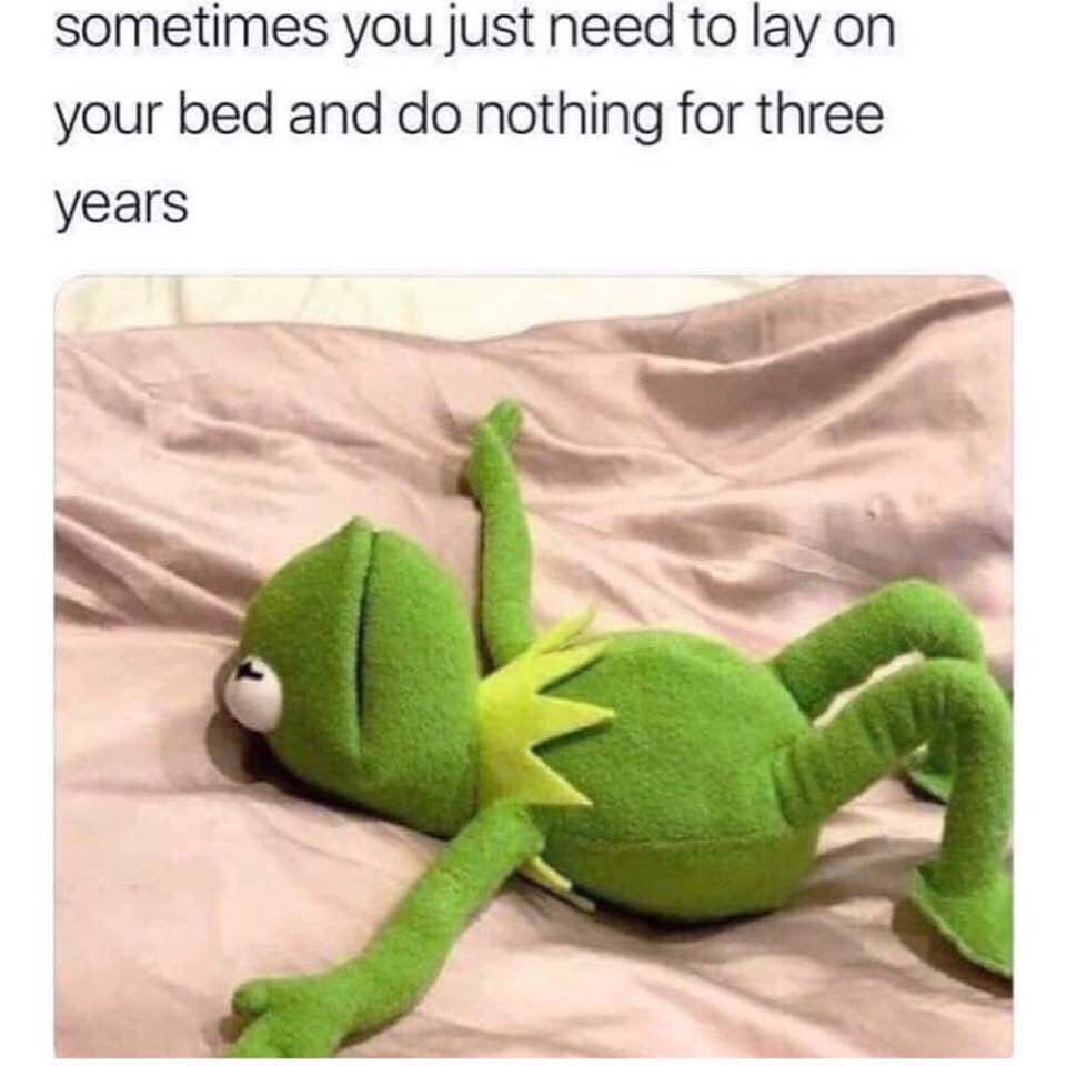 Sometimes you just need to lay on your bed and do nothing for three years.