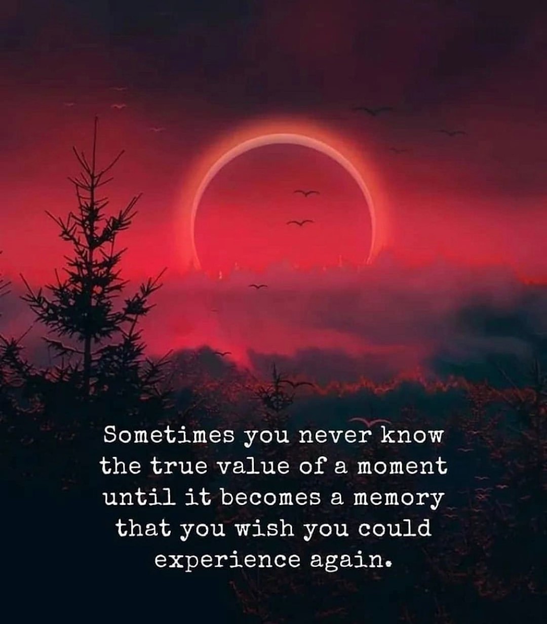 Sometimes you never know the true value of a moment until it becomes a memory that you wish you could experience again.