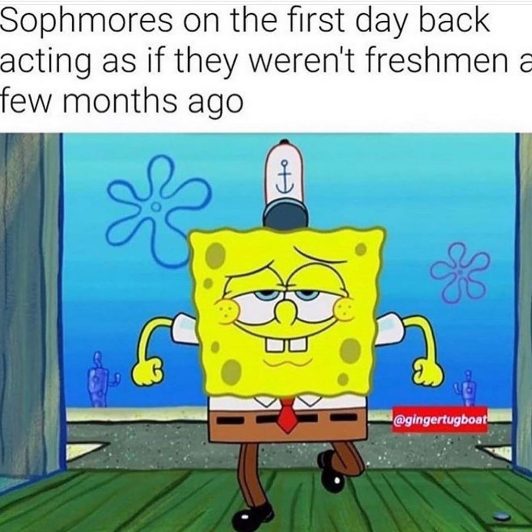 Sophmores on the first day back acting as if they weren't freshmen e few months ago.