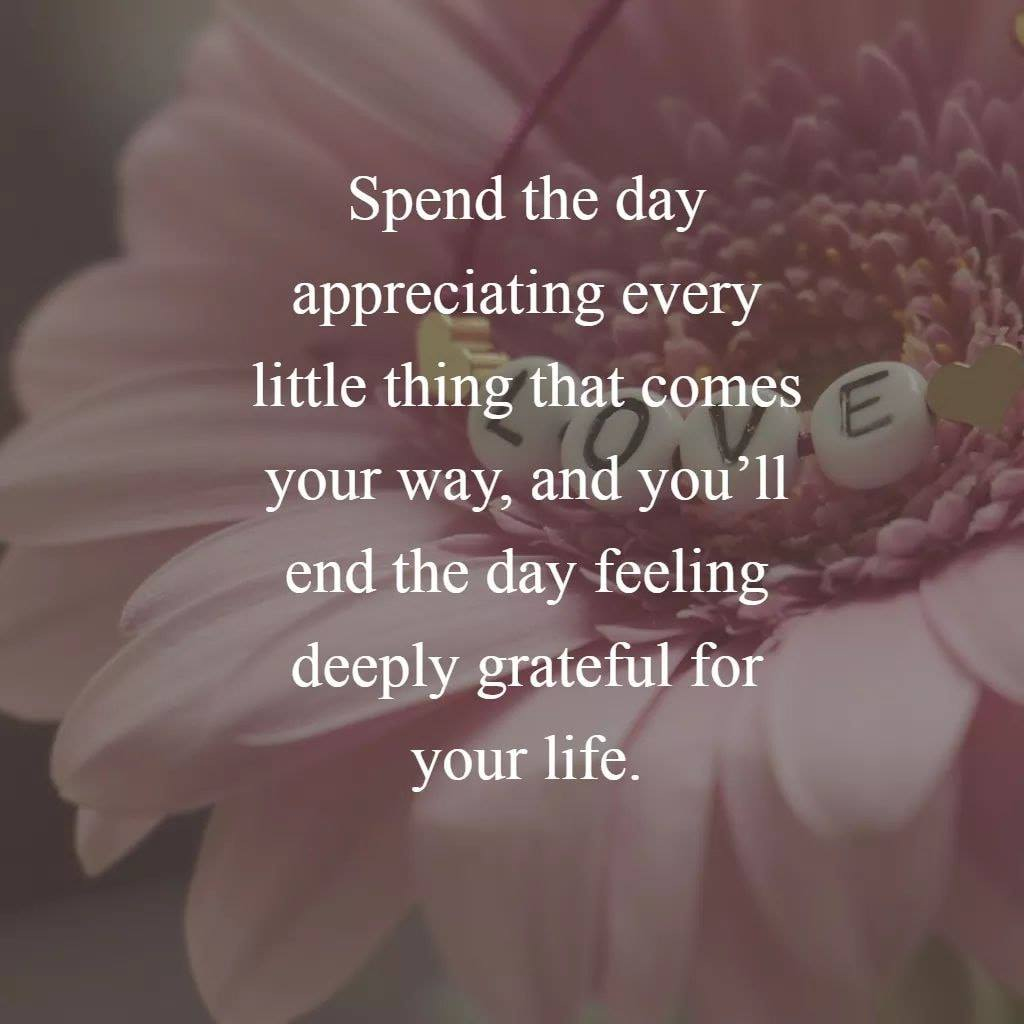 Spend the day appreciating every little thing that comes your way, and you'll end the day feeling— deeply grateful for your life.