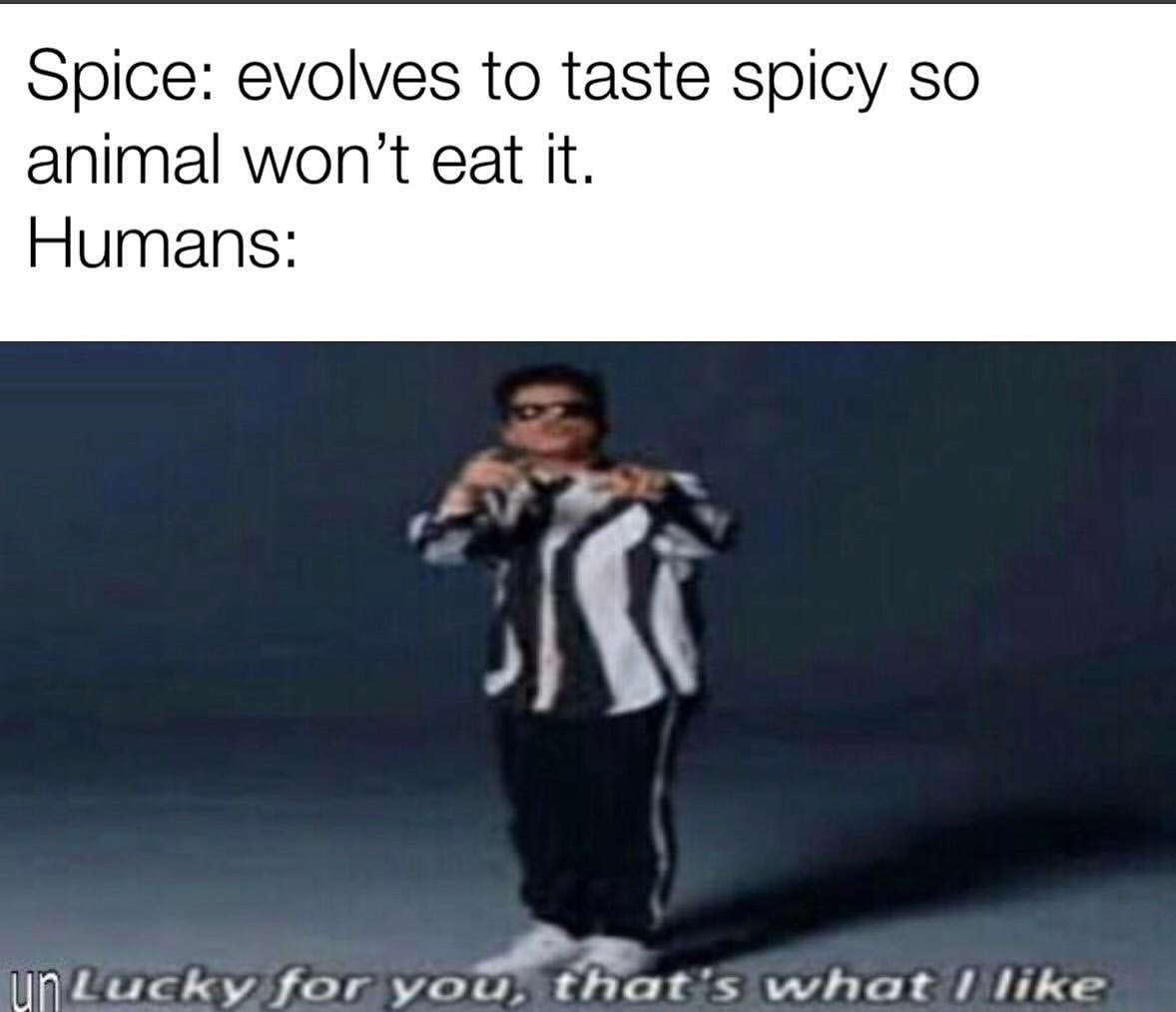 Spice: evolves to taste spicy so animal won't eat it.  Humans: Lucky for you, that's what I like.
