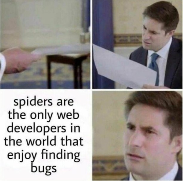Spiders are the only web developers in the world that enjoy finding bugs.