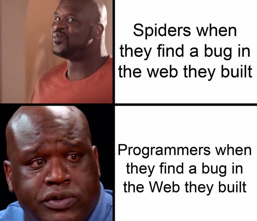 Spiders when they find a bug in the web they built. Programmers when they find a bug in the Web they built.