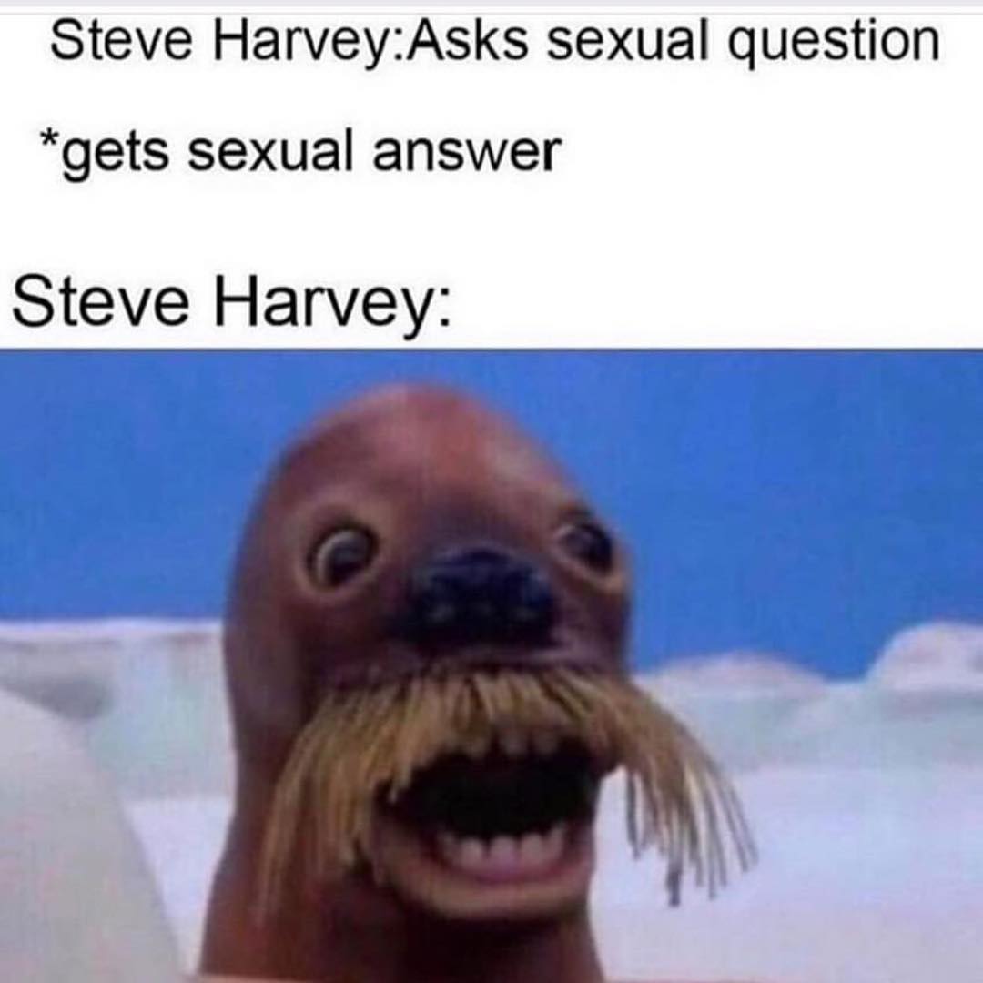 Steve Harvey: Asks sexual question *gets sexual answer Steve Harvey: