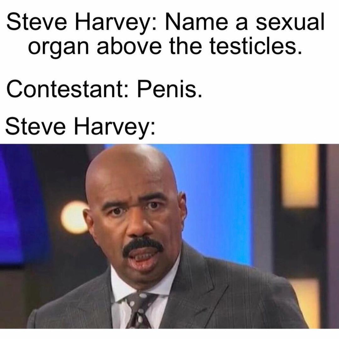 Steve Harvey: Name a sexual organ above the testicles. Contestant: Penis. Steve Harvey: