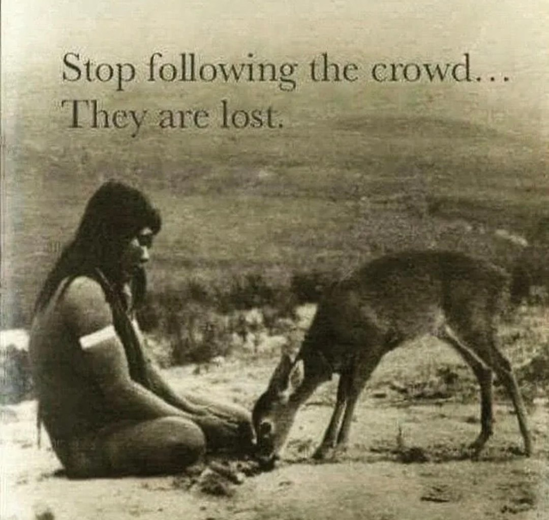 Stop following the crowd... They are lost.