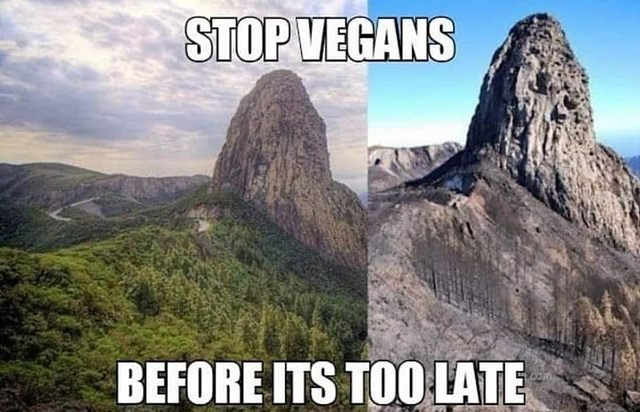 Stop vegans before its too late.