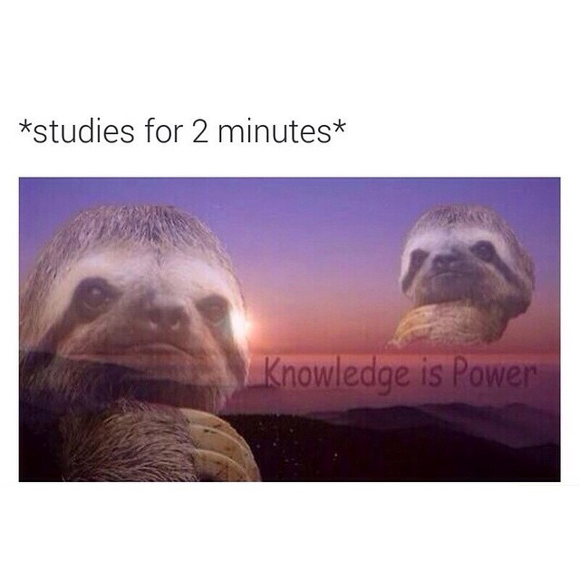 *Studies for 2 minutes* Knowledge is power.