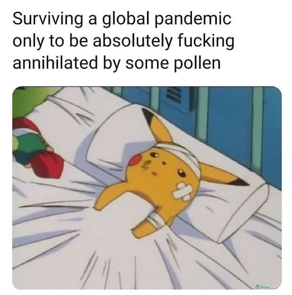 Surviving a global pandemic only to be absolutely fucking annihilated by some pollen.