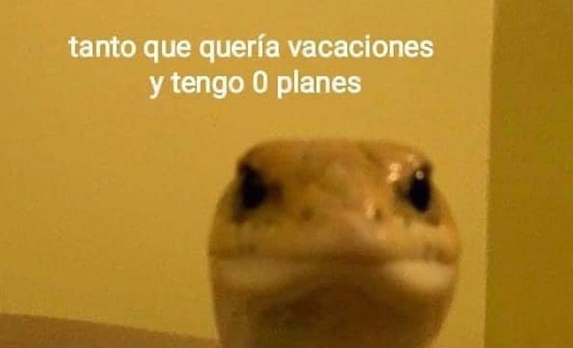 Tanto que quería vacaciones y tengo 0 planes.