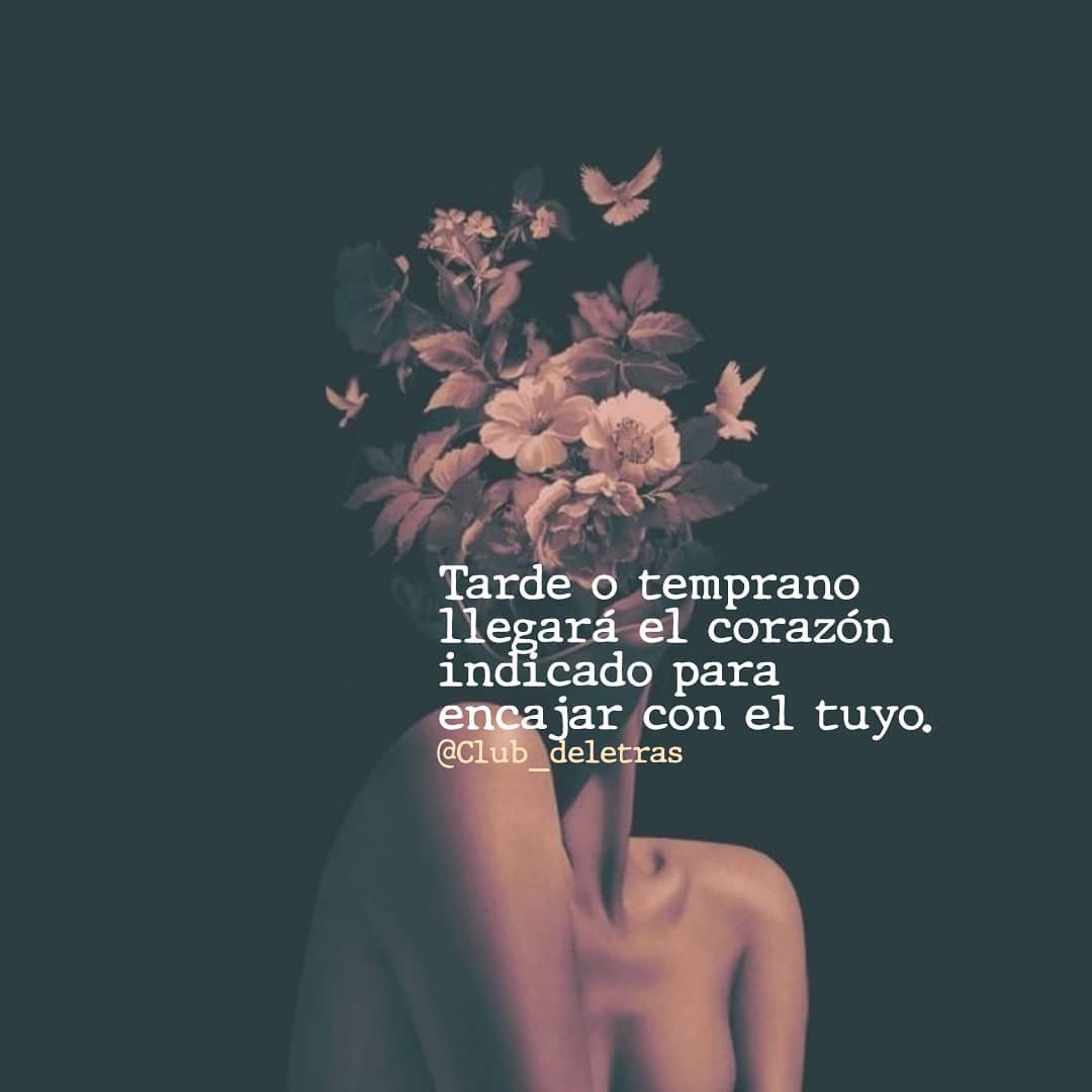 Vienes solo? No, vengo con mi niño interior, mi yo superior, mis maestros  ascendidos y mis demonios internos, nos gusta andar en banda. - Frases