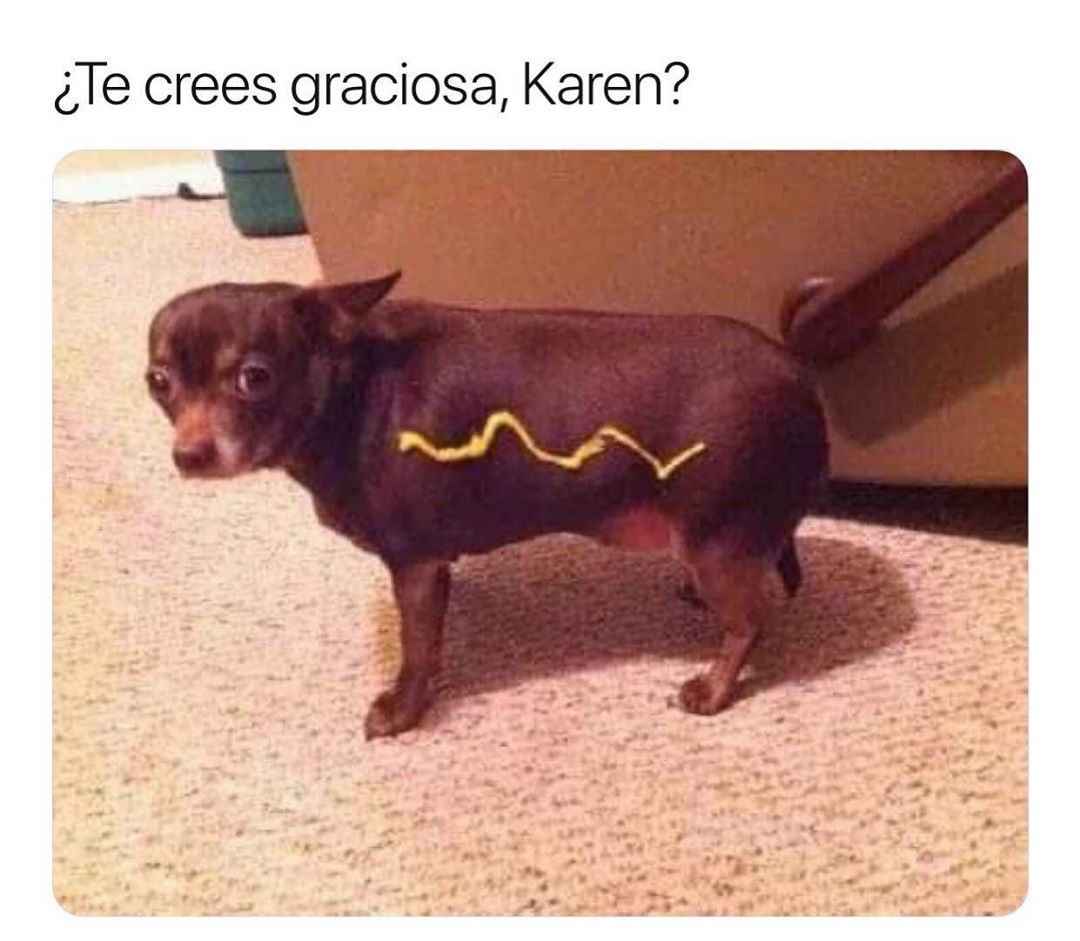 ¿Te crees graciosa, Karen?