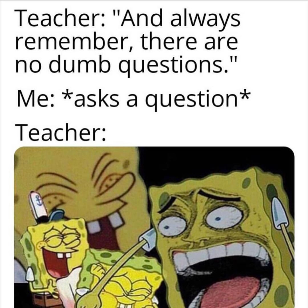 Teacher: "And always there are no dumb questions." Me: *asks a question* Teacher: