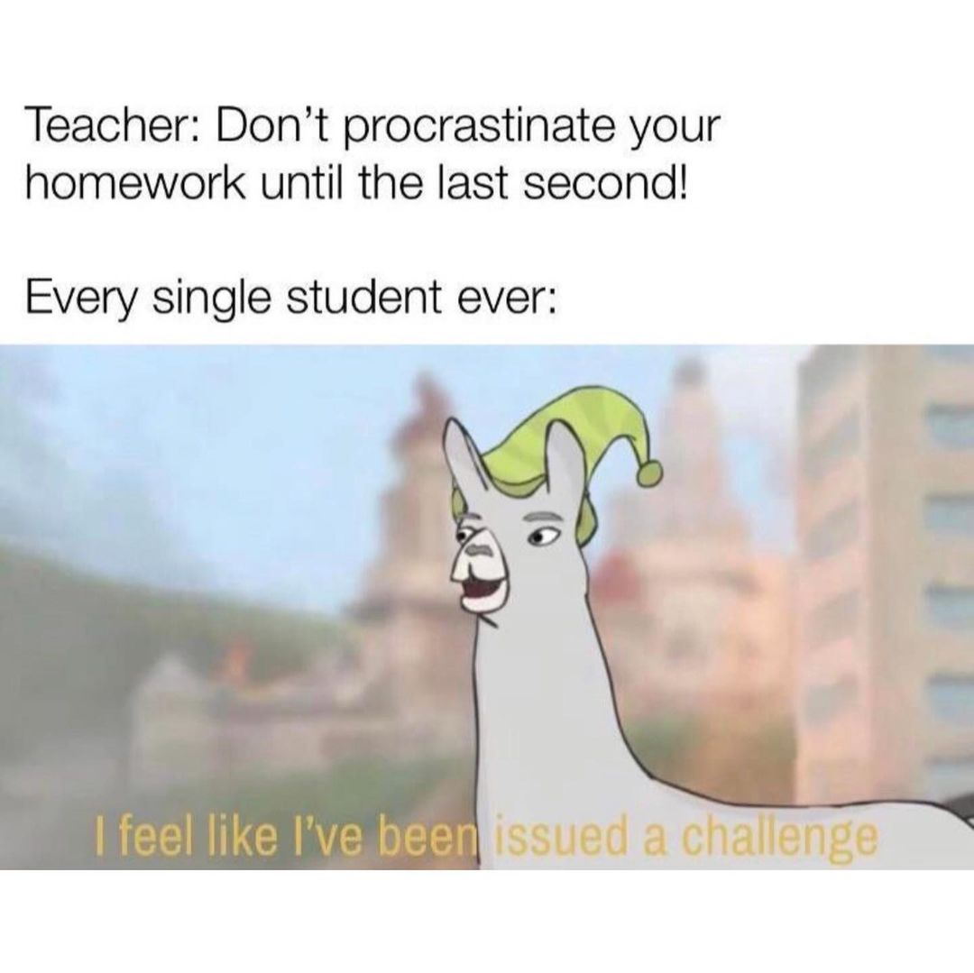 procrastinate homework in a sentence
