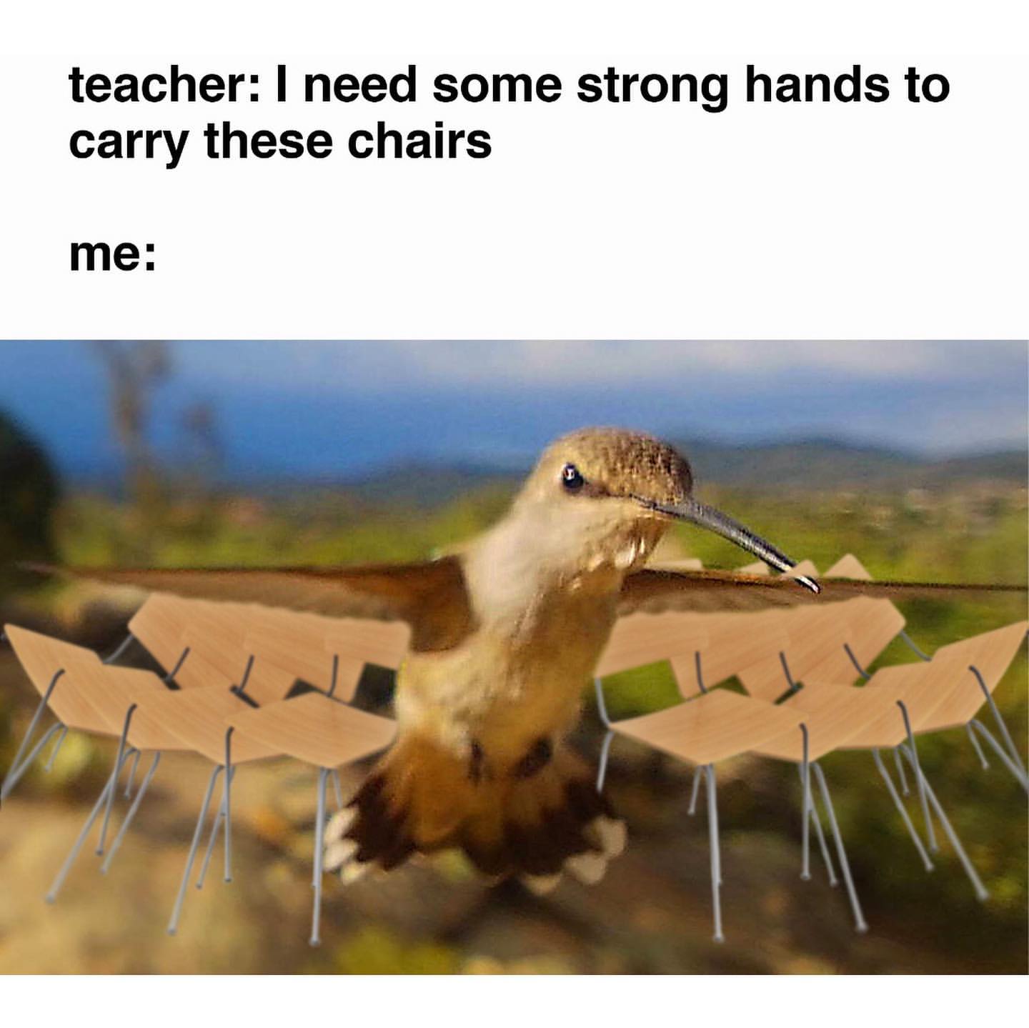 Teacher: I need some strong hands to carry these chairs.  Me: