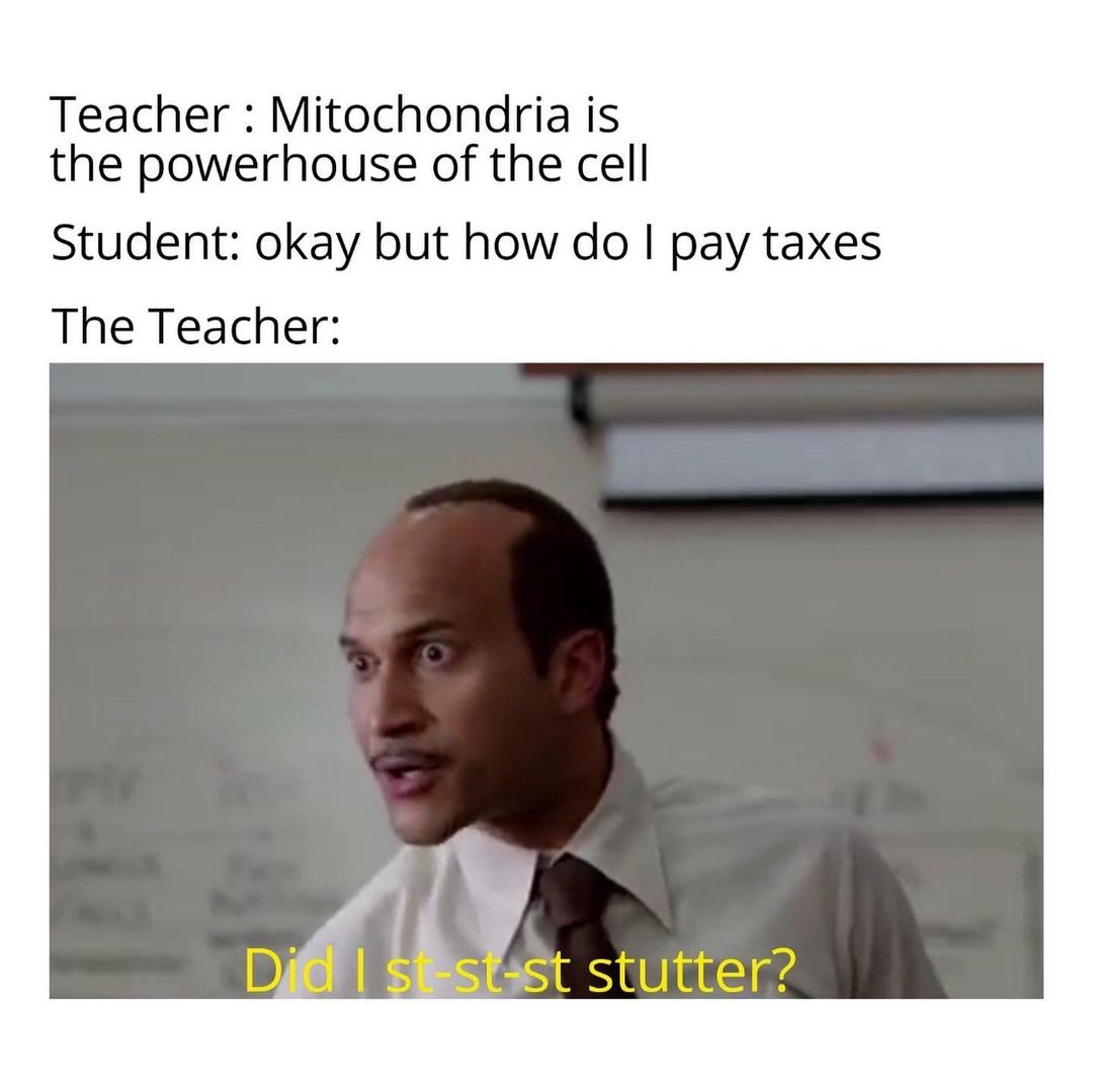 Teacher: Mitochondria is the powerhouse of the cell. Student: Okay but how do I pay taxes. The Teacher: Did I st-st stutter?