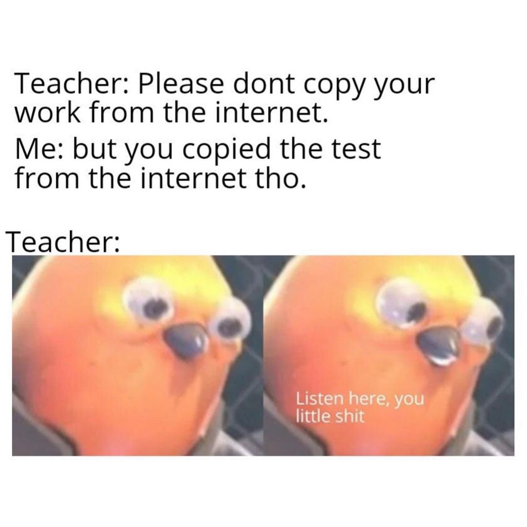 Teacher: Please don't copy your work from the internet. Me: but you copied the test from the internet tho. Teacher: Listen here, you little shit.