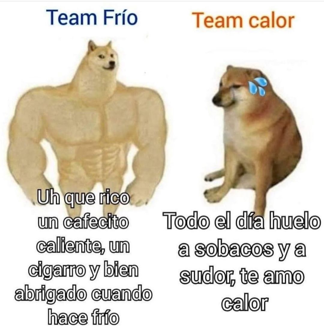 Team frío: Uh que rico un cafecito caliente, un cigarro y bien abrigado cuando hace frío.  Team calor: Todo el día huelo a sobaco y a sudor, te amo calor.