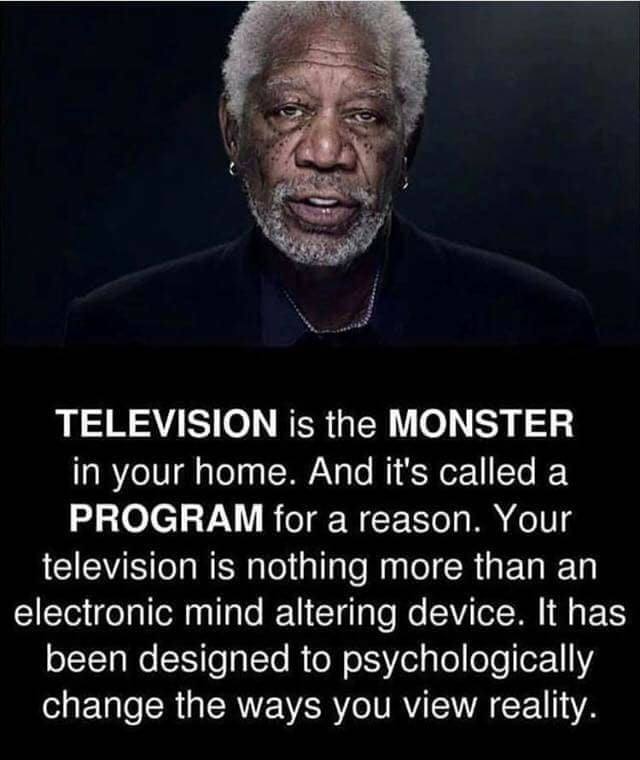 Television is the monster in your home. And it's called a program for a reason. Your television is nothing more than an electronic mind altering device. It has been designed to psychologically change the ways you view reality.