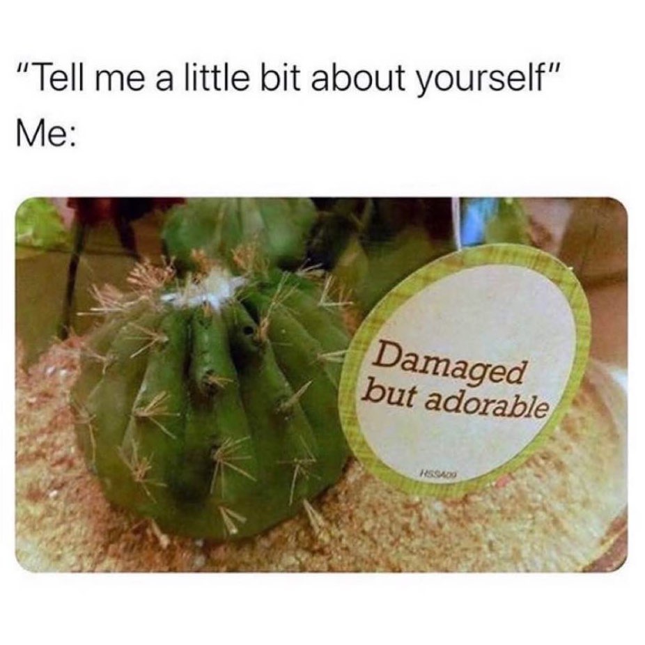 "Tell me a little bit about yourself" Me: Damaged but adorable.