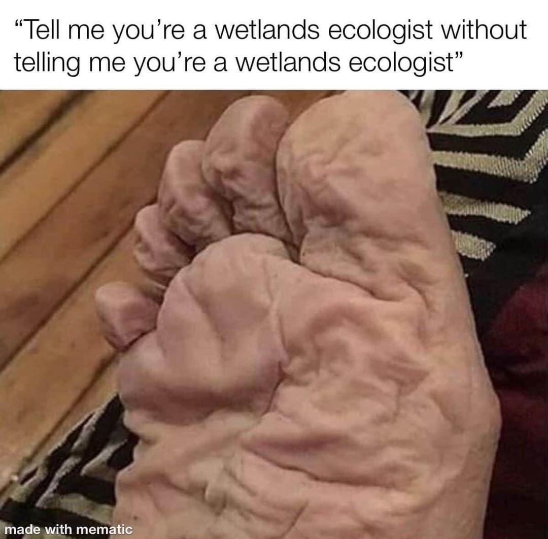 Tell me you're a wetlands ecologist without telling me you're a wetlands ecologist.