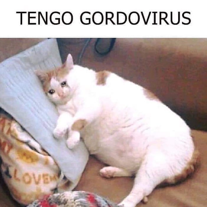 Tengo gordovirus.