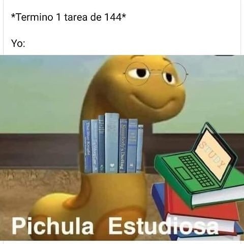 *Termino 1 tarea de 144*  Yo: Pichula estudiosa.