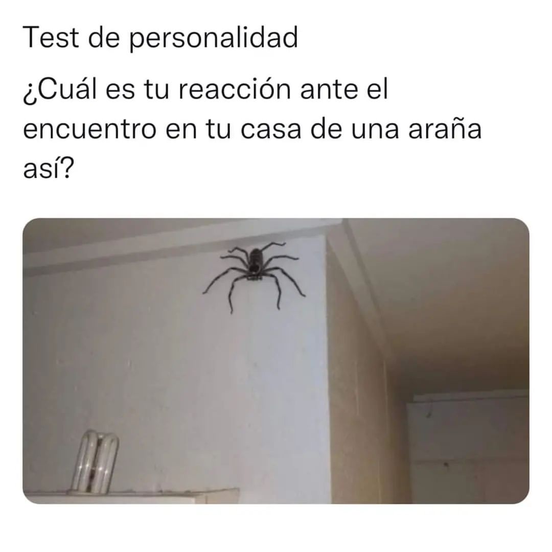Test de personalidad ¿Cuál es tu reacción ante el encuentro en tu casa de una araña así?