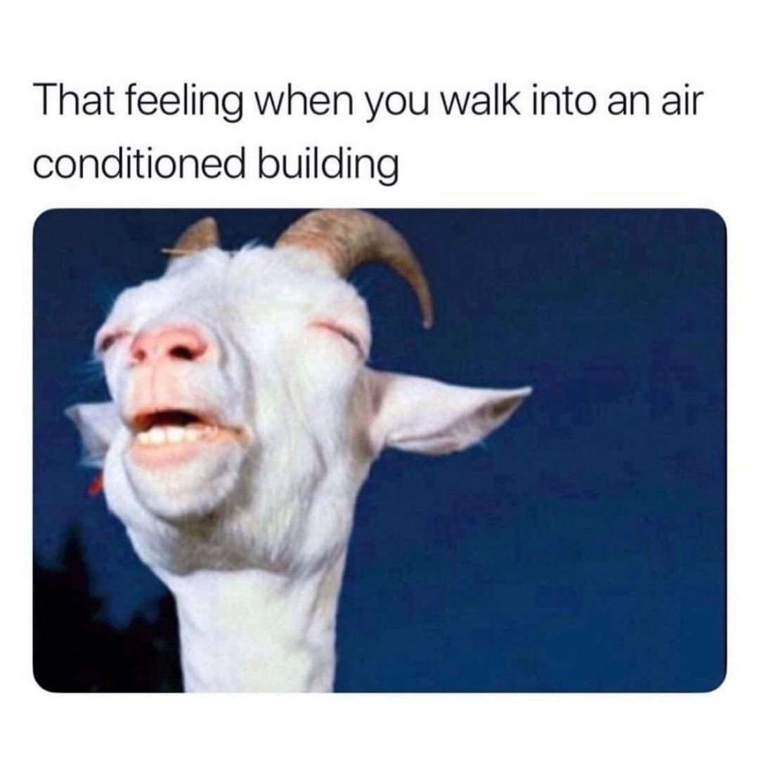 That feeling when you walk into an air conditioned building.