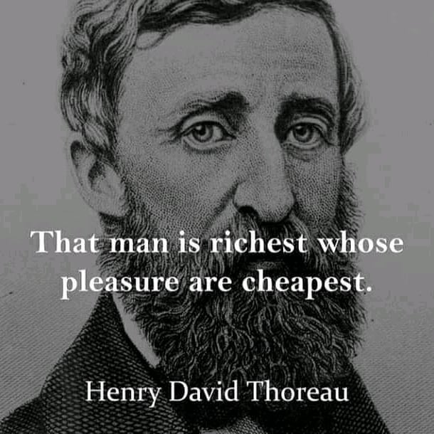 That man is richest whose pleasure are cheapest.