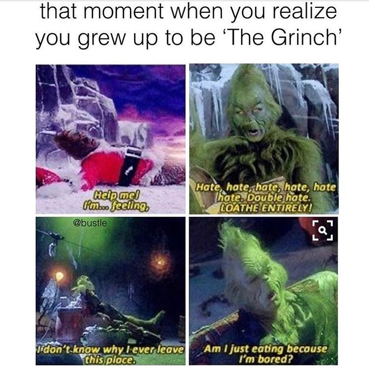That moment when you realize you grew up to be 'The Grinch' Help me! I'm... feeling. Hate, hate, hate, hate, hate, hate. Double hate. Loathe entirely! I don't know why I never leave this place. Am I just eating because I'm bored?