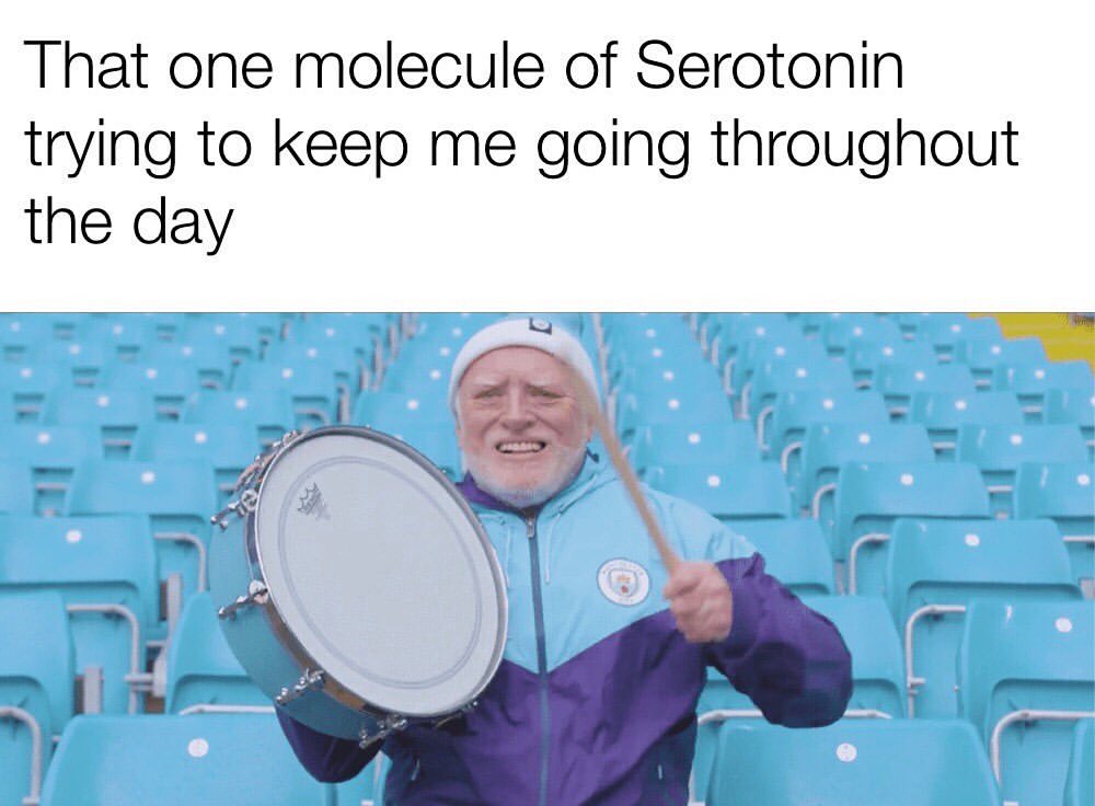 That one molecule of Serotonin trying to keep me going throughout the day.